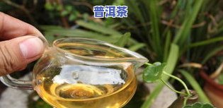 巴达山普洱茶冲泡方法图解-巴达山普洱茶冲泡方法图解大全