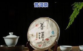 普洱茶发酵大师：哪些品种口感佳、健康益处多？