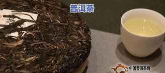 象明普洱茶的特点：独特的口感、丰富的营养与历史渊源