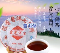 勐康七子饼普洱茶价格多少？一斤要多少钱？云南勐海357克七子饼茶的价格是多少？