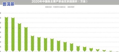 全面解析：武夷山茶叶包装市场情况与发展趋势