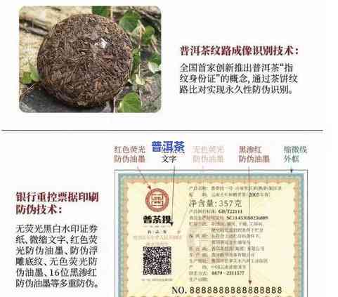 新加坡盛产茶叶吗？探究其原因与现状