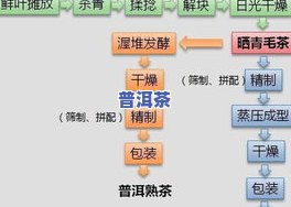 生茶与熟茶的区别是什么？从定义、制作工艺、口感、营养成分等方面全面解析