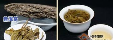 生茶与熟茶的区别及功效