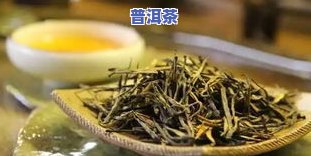 普洱茶发臭-普洱茶有点臭