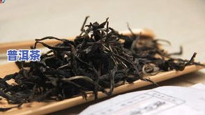 探究普洱茶古树特征：种类、特点及品种全解析