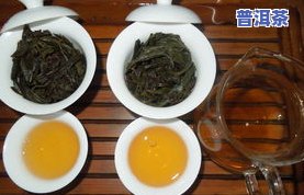 泡出来的普洱茶太苦：原因解析与适宜人群