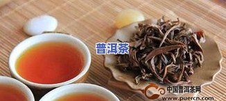 泡出来的普洱茶太苦：原因解析与适宜人群