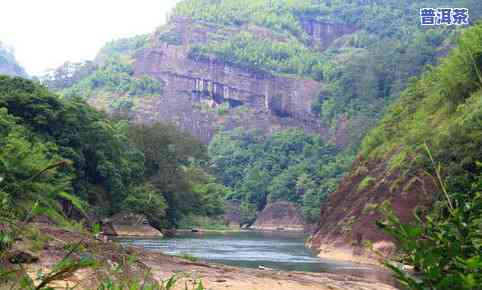 武夷山三姑茶叶市场-武夷山三姑茶叶市场怎么还价的