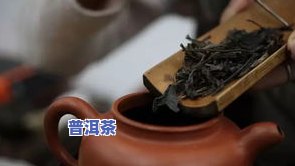 建水普洱茶-建水和普洱哪个好