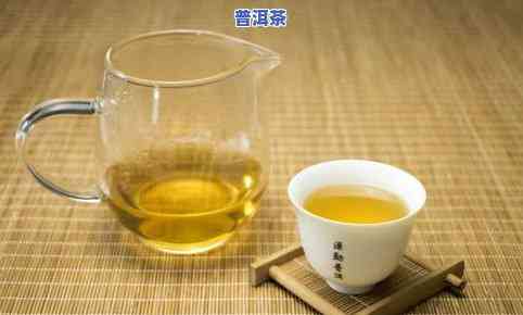 普洱茶厂茶源道始：探寻普洱茶的源头与历史