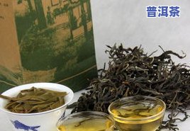 马鞍山普洱茶多少钱一斤？古树茶价格表全览