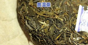 普洱茶马鞍山古树茶价格及生茶行情一览