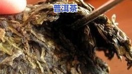 普洱茶饼怎么撬开技巧视频教程下载