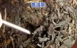 普洱茶饼怎么撬开技巧窍门-普洱茶饼怎么撬开技巧窍门视频