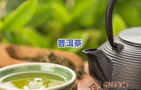 宾阳普洱茶-宜宾普洱茶