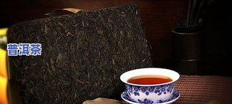 宾阳普洱茶-宜宾普洱茶