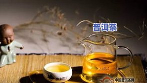 普洱茶道书：详解普洱茶入门、品鉴与收藏