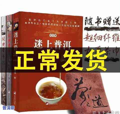 普洱茶道书：详解普洱茶入门、品鉴与收藏