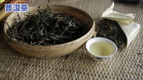 冰岛普洱茶是否属于普洱茶？探讨其分类归属及其特点