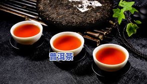 广州陈皮普洱茶拿货价多少-广州陈皮普洱茶拿货价多少钱