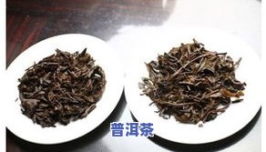 冰岛普洱茶与普通普洱茶的区别：功效、特点及评价