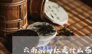 冰岛普洱茶属于普洱茶吗-冰岛普洱茶属于普洱茶吗