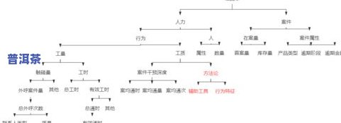 普洱茶揉捏工艺：流程、方法与技巧全解析