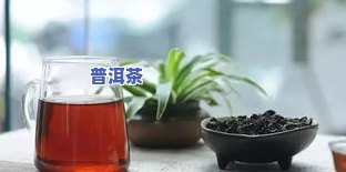 什么的普洱茶好喝？健康、香醇、便宜，满足你对口感的所有期待！