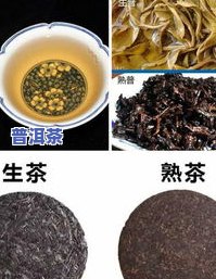 熟普洱茶的分类-普洱茶熟茶分类