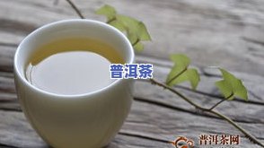 普洱茶分类：了解其多种类型与品种大全