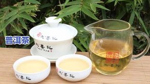 普洱茶分类：了解其多种类型与品种大全