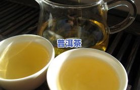 冰岛茶三大：午一，哪家最正宗？