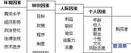 全面解析：普洱茶市场需求分析及其影响因素