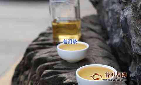 DC普洱茶-普洱茶db53/103-2006