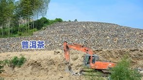 怎样提前茶叶开采期-怎样提前茶叶开采期呢