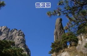 黄山市茶叶场地址查询及联系电话