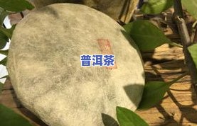 仙人山普洱茶在哪里卖的-仙人山普洱茶在哪里卖的好