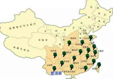 产茶叶的地方：探寻优质茶源的地理分布与特点