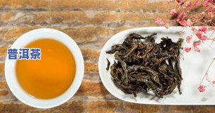 清风为伴茶叶贵吗？产地、品种全面解析