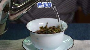 办公室普洱茶：冲泡方法简易，必备茶具全攻略