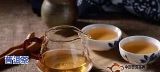 普洱茶和什么搭配护肝更好-普洱茶和什么搭配护肝更好呢