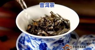 奢侈普洱茶-奢侈普洱茶吧