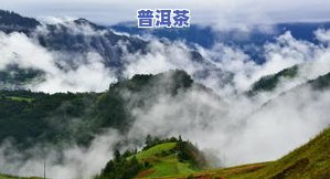 临沧四大雪山普洱茶产区位置及特点解析