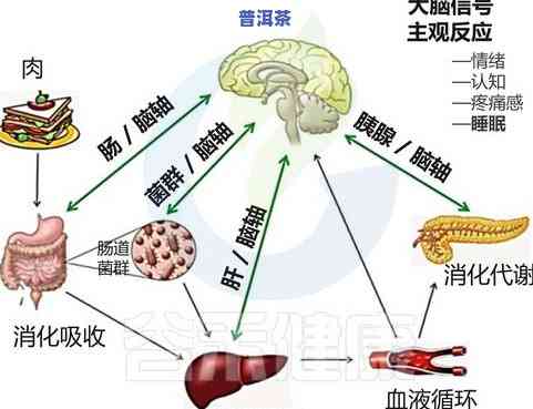 普洱茶与降雨量关系探讨：降雨量对普洱茶生长及品质作用分析