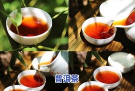 普洱茶叶很碎：起因、是不是正常及解决方法