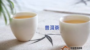 熟普洱茶饼怎么喝视频教程：详细讲解泡法与品饮技巧