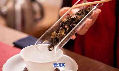 老班章茶叶是什么茶，探秘老班章茶叶：熟悉这类特别的普洱茶品种