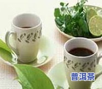 野茶的特点和功效：揭示其独特特性和健康益处