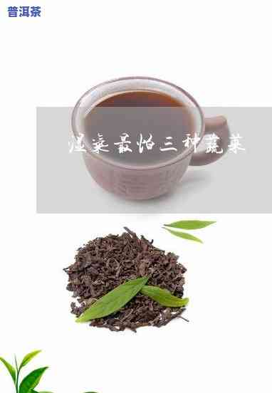 如何识别嫁接普洱茶的真假？普洱现在常使用的嫁接茶叶品种与识别方法的视频及图片